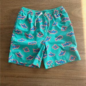 Chubbies Teal and Pink Patterned Swim Shorts